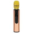vezeték nélküli karaoke mikrofon gyerekeknek Bluetooth, 2000mAh, SD kártya, USB  - arany