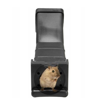 Humánus élvefogó egércsapda, zöld, 16.5x4x4 cm