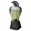 Nagy Sólyom Madárijesztő figura 17 × 17,5 × 41,5 cm