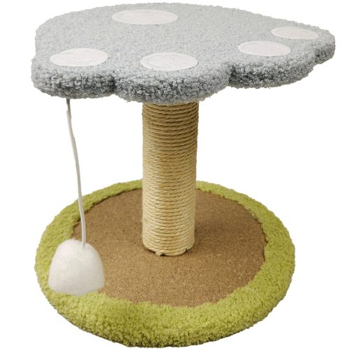 Macska kaparófa, 25 cm