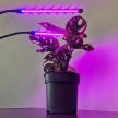 Növénytermesztő lámpa 20 db LED lámpával, 3 világítási mód, vízálló