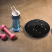 Egyensúlyozó korong