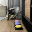 Kutyakiképző gombok hangrögzítéssel és kommunikációs készségek fejlesztésével, 4 db